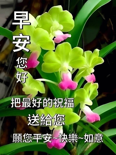 按我可連結至更清楚的圖片